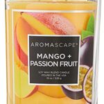 Aromascape PT41924 2-Wick Scented Jar Candle, Mango & Passion Fruit, 19-Ounce, Orange