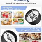 Ganiza Smoothie Blender, Blender for Shakes and Smoothies, 15-Piece Personal Blender and Grinder Combo for Kitchen, Smoothies Maker with 4 BPA-Free Portable Blender Cup, Nutritious Recipe, MAX 900W