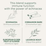 Traditional Medicinals Tea, Organic Immune Zoom Elderberry Echinacea, Supports Immune Function, 16 Tea Bags