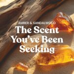 Yankee Candle Studio Collection Candle, Amber & Sandalwood, 10 OZ