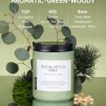 M&SENSE Eucalyptus & Mint Candles for Home Scented, 19.4oz 110 Hours Burn Soy Aromatherapy Candle Gift for Stress Relief, Meditation, Yoga, Relaxing SPA, Natural Soy Wax for Men and Women