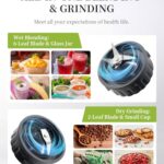 GDOR Blenders for Smoothies, 52 Oz Glass Jar Smoothie Blender, Countertop Blender & Grinder Combo, 9 Functions with 5 speeds for Shakes, Puree, Crush Ice, and Chop, Max 700W