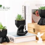 Der Rose 3pcs Fake Succulents Plants Artificial for Black Bathroom Bedroom Home Living Room Halloween Decor Aesthetic Indoor
