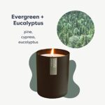 Calyan Wax Co. Evergreen & Eucalyptus Scented Candle – 75 Hour Burn – Luxury Non Toxic Soy Wax Candles – Long Lasting Black Tumbler Jar Candle for Home – 10.2oz