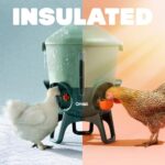 Omlet Insulated Chicken Waterer, 3 Gallon | Stay-Clean Automatic Water Dispenser for Chickens | BPA-Free | Anti-Roost Domed Lid | Includes 5 Cups & Nipples | Sage Green
